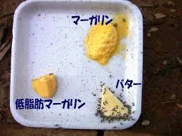 【健康】トランス脂肪酸・飽和脂肪酸はやっぱり「生体に悪影響を与える！」という事が改めて結論付けられた！