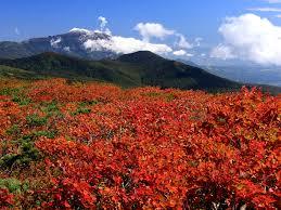 紅葉を見に岩手山麓をめぐる！