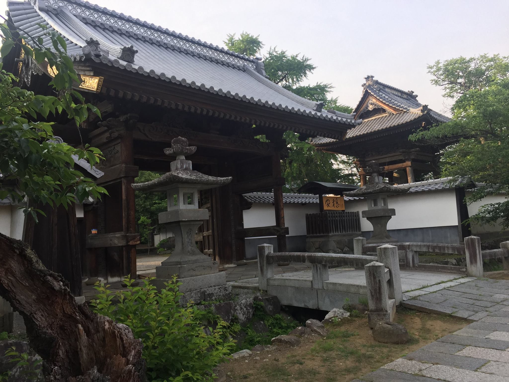 508655479_3548298368633552_3099652502988193593_n