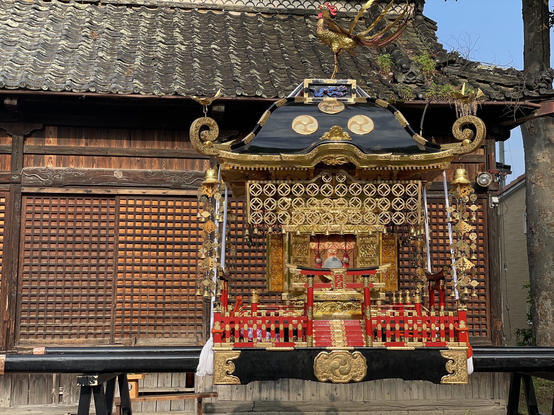 須坂祇園祭で牛頭天王をお迎えする金色の神輿