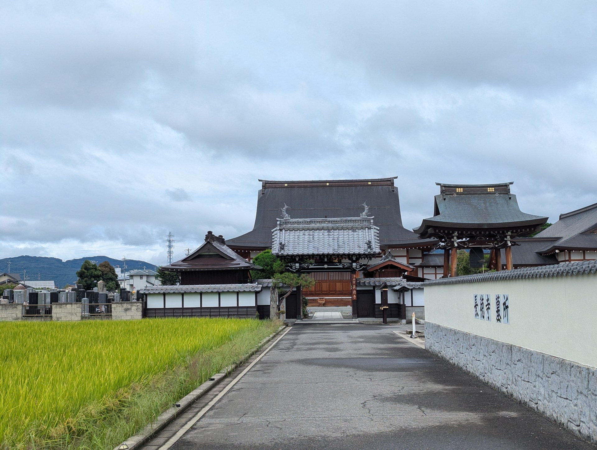田畑の緑に囲まれた長徳寺への参道